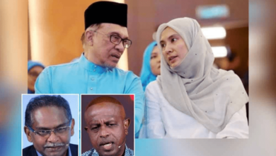 Experts suggest Nurul Izzah for national role, not Sungai Bakap seat