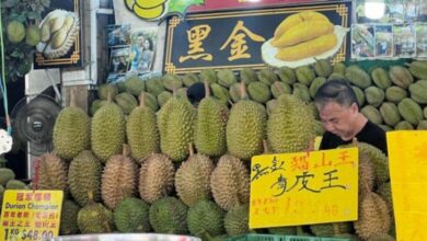 Durian Tupai King dijual RM201 satu kilogram