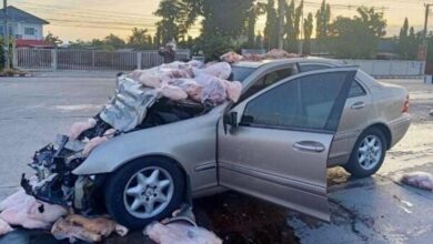 ‘Babi terbang’ dalam nahas Mercedes-Benz