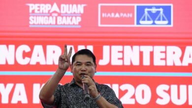 Opposition candidate's education falls short of PH standards - Rafizi
