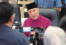 Opposition ‘delegates’ wanted to meet Anwar and I, says Zahid