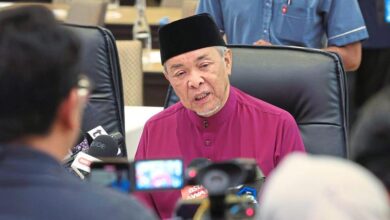 Opposition ‘delegates’ wanted to meet Anwar and I, says Zahid