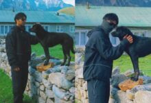 Berbalah Mengenai Hukum “Pegang Anjing Haram”, Netizen Mohon Ben Amir Padam Gambar Elak Timbul Fitnah
