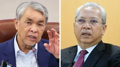 Stop trying to play hero, Zahid tells Annuar