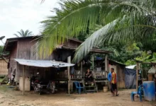 Keep your promises if you win, Orang Asli NGO tells PN man