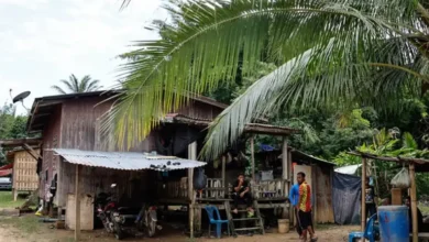 Keep your promises if you win, Orang Asli NGO tells PN man