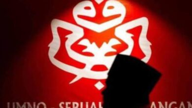 Umno General Assembly 2024 limited to party members, BN reps