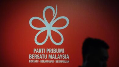 Bersatu dismisses royal apology statements as fake