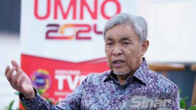 DAP not a liability to Umno – Zahid