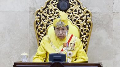 Don’t drag monarchy into political disputes, says Selangor ruler