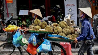 Buat apa bayar mahal, peniaga jual durian RM5 sebiji, isi cantik