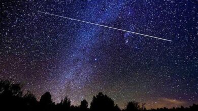 Mysa kongsi tip lihat Hujan Meteor Perseids malam ini