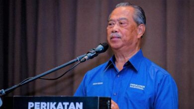 Penganalisa Politik Saran PN Ganti Muhyiddin Jika Ingin Kekal Relevan