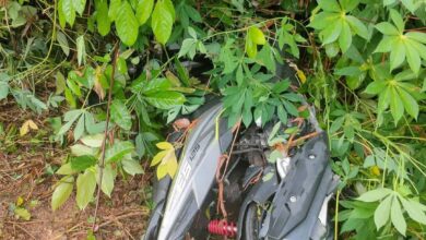 Pelajar mahu ke sekolah maut dihempap pokok