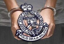 Polis tahan dua lelaki tanam 143 pokok ganja