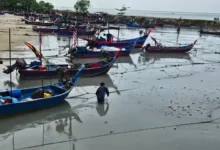 Boats get caught in silt, Penang fishermen blame Silicon Island