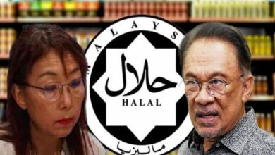 Anwar Ibrahim Kenyataan Teresa Kok Tidak Mewakili PH