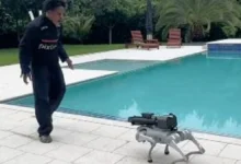 YouTuber terkejut robot anjing tembak api