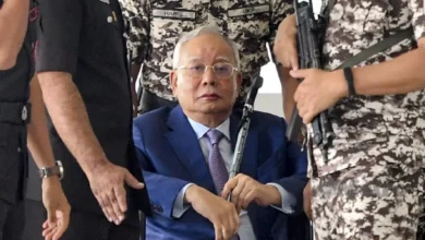 'Nampaknya Nik Faisal mungkin mempermainkan kedua-dua belah pihak' - Najib