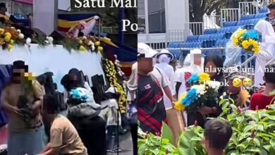 Berselerak! Pengunjung serbu ambil pokok bunga lepas sambut merdeka [VIDEO] 