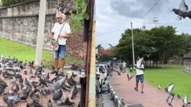 ‘Pigeon Whisperer’ Padang Kota Lama tarik perhatian netizen