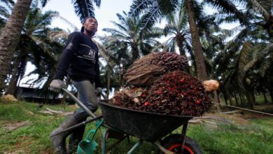 MPOB memetakan 70 peratus pekebun kecil bebas