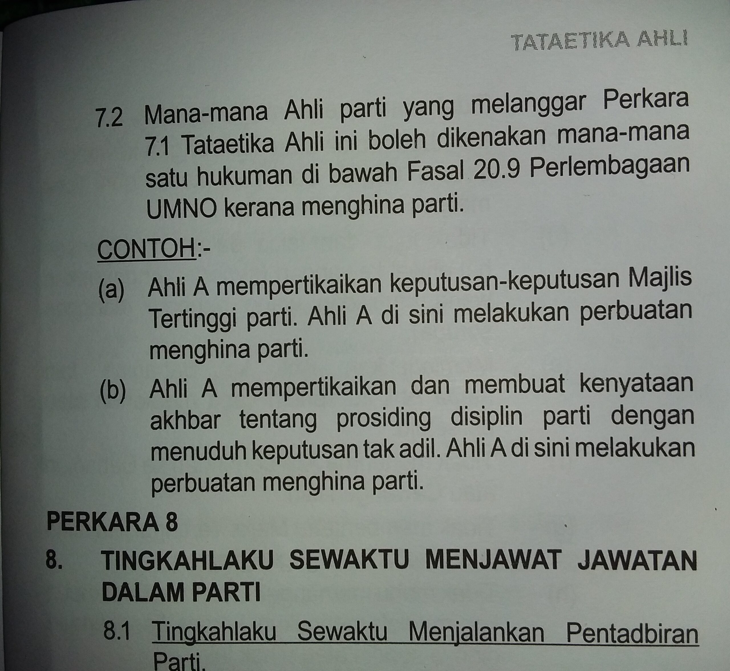 perlembagaan Umno