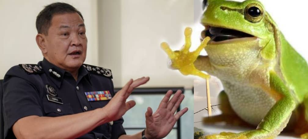 Ketua Polis Negara Minta SPRM Siasat 'Katak Politik'