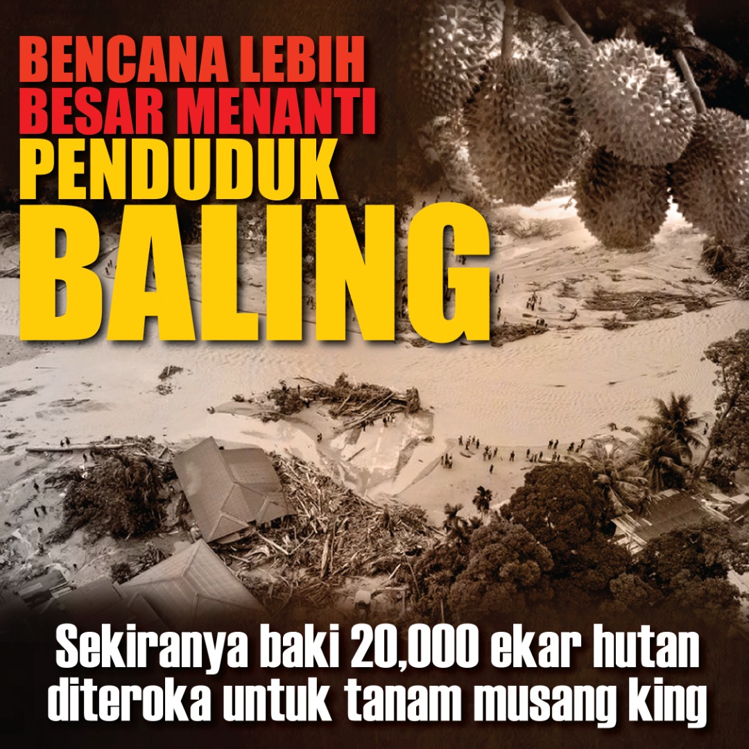 20,000 ekar tanam durian
