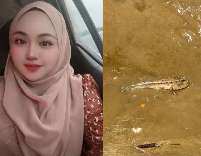 Bawang Merah zaman TikTok