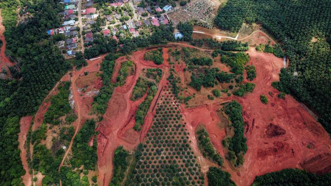 Generasi kedua Felda Bukit Goh hairan ‘dikejar’ LHDN