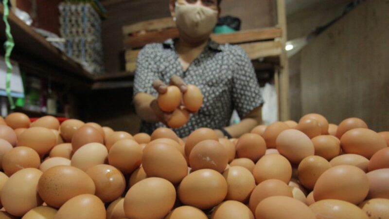 Indonesia galak ambil telur sebiji sehari elak tumbesaran terbantut pada kanak-kanak
