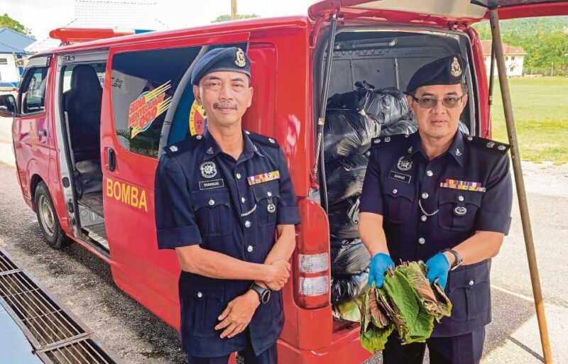 Anggota bomba terbabit seludup ketum akan dikenakan tindakan tegas