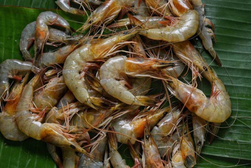 Udang Thailand dilanda penyakit, pengeluaran dikurangkan