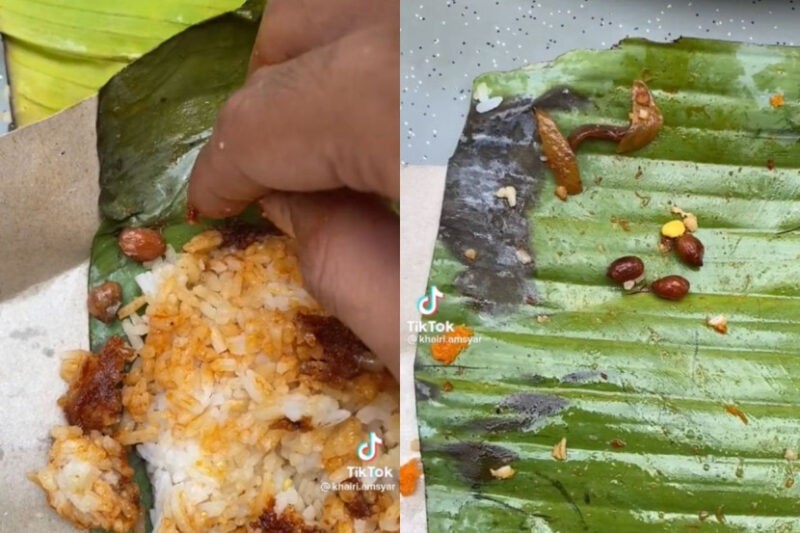 Terkejut buka bungkusan ‘nasi lemak akhir zaman’