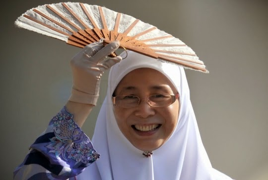 Langkah 'BTR' bakal tamatkan karier Wan Azizah