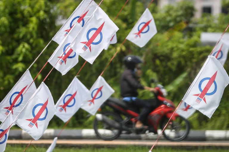 Small Cabinet presence a bitter pill for DAP to swallow, say analysts