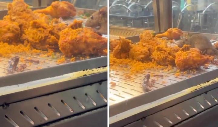 License Revoked For Pandan Indah Restaurant After Rat Caught Eating Fried Chicken