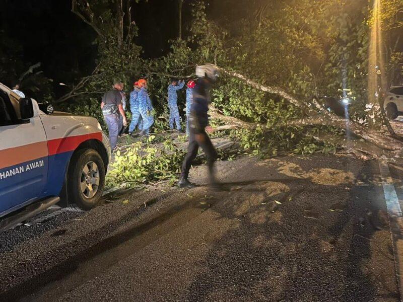 Penunggang motosikal maut, rakan parah dihempap pokok tumbang di Seremban