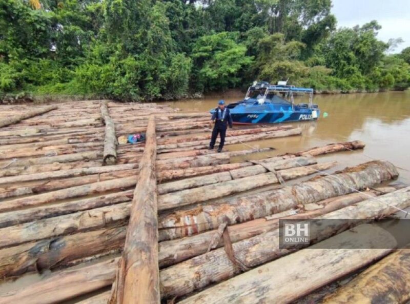 Polis rampas 160 kayu balak haram bernilai RM408,000