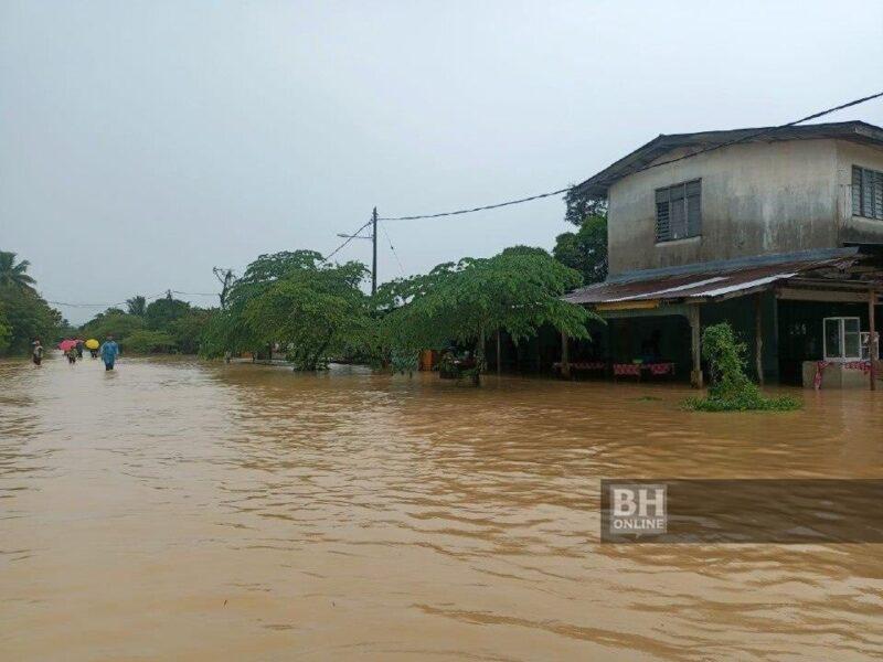 Bah kuning jadi igauan penduduk Tanah Merah