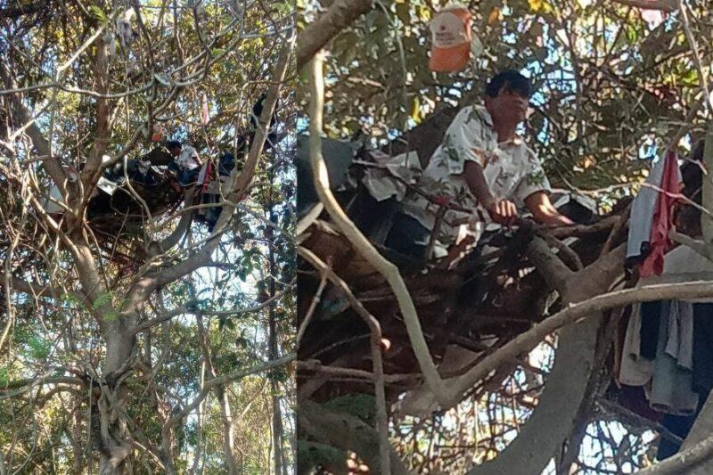 Lelaki menginap atas pokok selama 3 tahun 