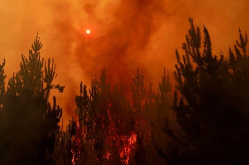 23 maut dalam kebakaran hutan di Chile