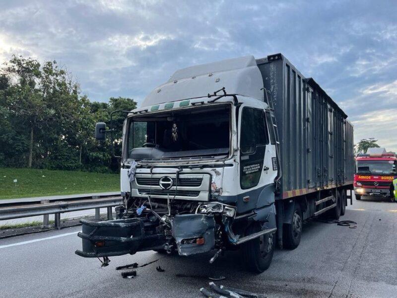 Maut digilis selepas tercampak keluar dari lori ikan