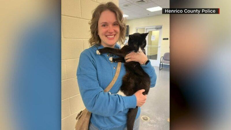 Kucing bertemu pemilik selepas hilang lebih sembilan tahun