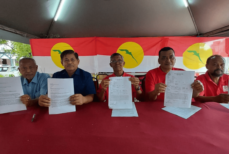 Blackout and sabotage claims mar Umno Puchong elections, official protest to be lodged