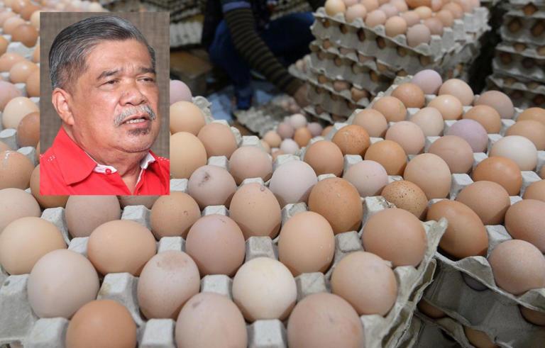 Nothing to hide: Mat Sabu reveals name of sole Malaysian firm importing eggs from India
