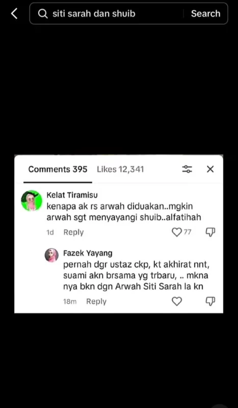 Abang kepada Allahyarhamah Siti Sarah, Ahmad Firdous Raissuddin menyelar komen netizen mengenai perkahwinan adik iparnya Shuib dan isteri, Watie.