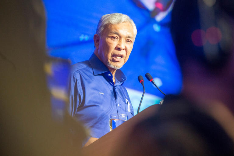 Zahid: Umno will look at bigger picture when dealing with Putatan MP