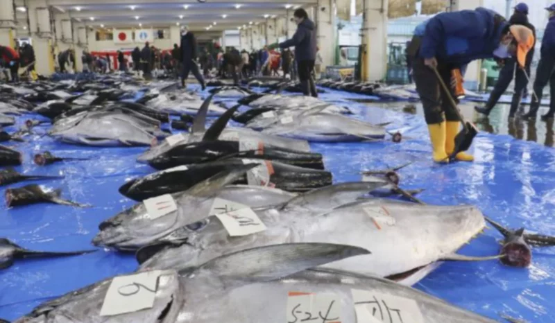 Korea Selatan guna kaedah 'paling ketat' kesan radiasi dalam makanan laut Jepun